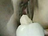 White dildo