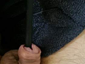 Penis Plug Dilator 11.5mm im Schwanz