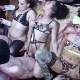 BABYWUNSCH GANGBANG?! CREAMPIE MASSENBESAMUNG AN FRUCHTBAREN TAGEN?