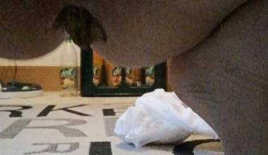 Ganz leise den Inkontinenz Slip fallen lassen und dann eine BRAUNE GEBURT gehabt