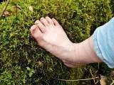 Socks and bare feet in the moss