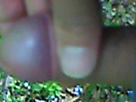 Vorschaubild vom Privatporno mit dem Titel "Wichsen und abspritzen im Wald" von GeilerHengst72