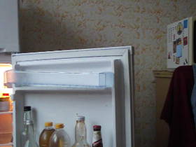 shit in the refrigerator door