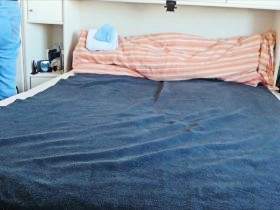 Nylonjunge rasiert seine geile reife Bekannte 1