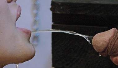 PISS – AKTIONEN Edition 2 