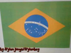 ** FAN Wunsch** - Brasilien: Flagge bespritzen
