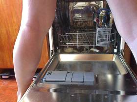 I shit on the dishwasher!!!