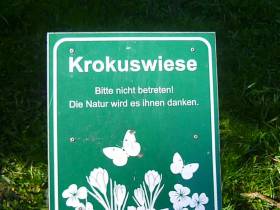 Verboten geil abgepisst auf der Krokuswiese!(Grünflächenamt schaut zu)