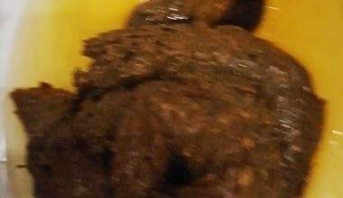 Tag 11 für das Vakuum Klo, ein Hammer kv Haufen