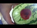 Die Wassermelone befickt