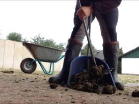 Vorschaubild vom Privatporno mit dem Titel "Neues vom Ponyhof - Kein Sex !" von Deine-Chefin