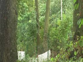 Na das war dringend!!