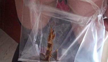 Das Pflaumensaftexperiment Teil 2