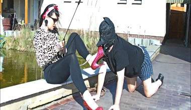 Submissive Dog & Pony Training