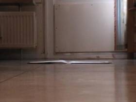 einbischen pippi and kacki