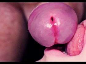 First, I gave him a nice blowjob.