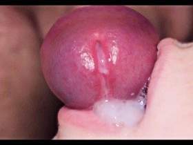 Erstmal schön den schwanz geblasen