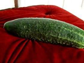 fucked by cucumber cock