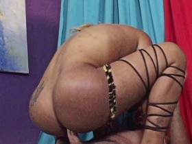 Tranny ridden in the ass