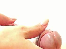 THE HAND ON THE TAIL