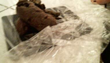 356 Gramm Scheiße wiegen und 