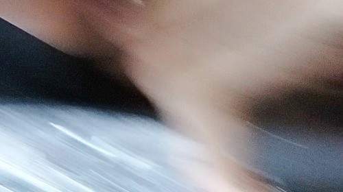 Nerviger Haufen endlich losgeworden