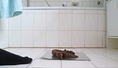 Scheisse auf Scheisse!?