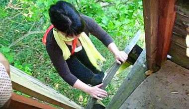 Waldvideo Hochstand
