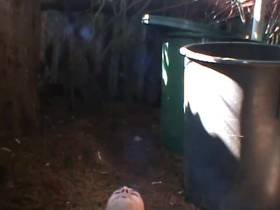 User wanted to have sparkling **** from the source