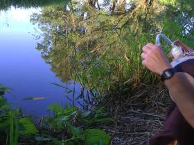 Again in the pond