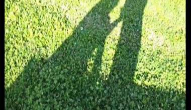 im Park blase ich ihm einen