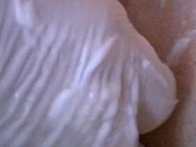The ass of the student is widely spread by fellow student with two fists
