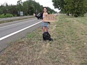 Daumen Raus - Schwanz Rein per Anhalter nach Berlin !!! Creampie ParkplatzSex