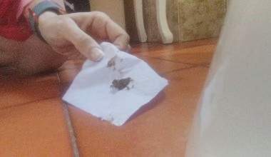 Das schöne Mädchen hat einen vollen Darm