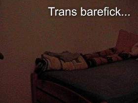 Trans-bare1