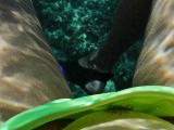 POV: Unterwasser Pipi-Wolke 10