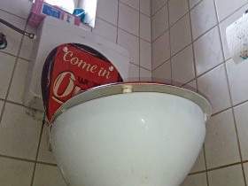 Shit in the toilet for you