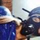 Gas Mask Findom