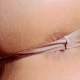 Satin Ass Crack Web