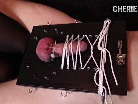 Vorschaubild vom Privatporno mit dem Titel "3 Piercings im Schwanzpranger! Deine Kennzeichnung!" von CherieNoir