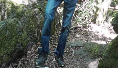 Dosen Trampling