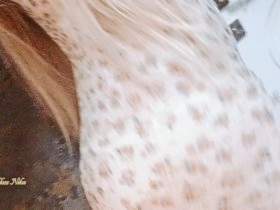 I won’t stop until I get satisfied.