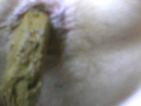 Vorschaubild vom Privatporno mit dem Titel "*111* Vom 05.03.10. Meine unendliche Kack Wurst !" von Kuschelbaer222