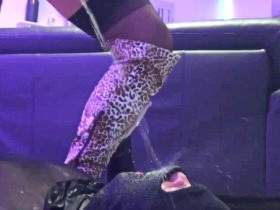 Vorschaubild vom Privatporno mit dem Titel "Mega-Ladungen Best-of" von Xenia-Style