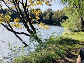 Geiler autumn day at the lake