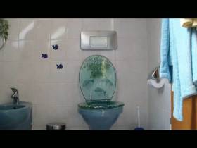 Pissing in the squat on the loo