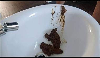 I made a lot of poop for you today too