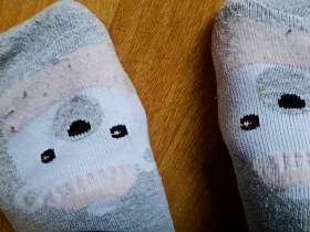 schnupper mal an meine Socken