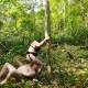 Lesbian Pissing on Slave