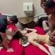 2 Girls. 2 Cocks. 1 Bett – MonaMystery & EmmaSecret lassen ALLES explodieren!